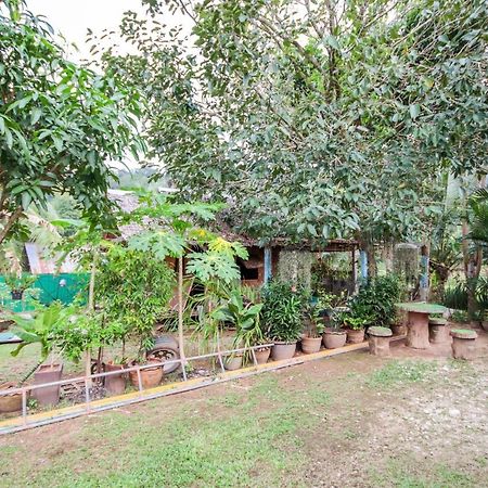 Oyo 75312 Banana Lodge Khao Lak Extérieur photo
